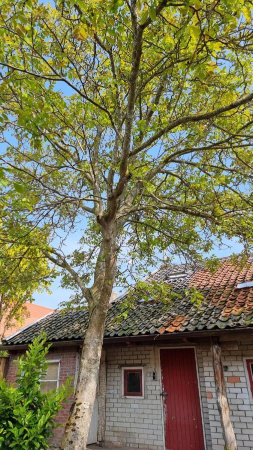 'T Bakuusje Hotel Kamperland Ngoại thất bức ảnh